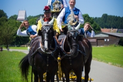 Registerfotos MVA Horn-8