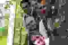 WhatsApp-Bild-2024-05-19-um-20.23.50_9d47ab27